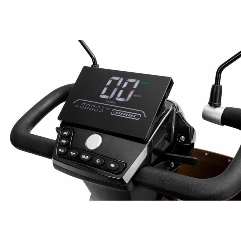 Elektrinis keturratis motoroleris bs91ds 6 www.sveikatine.lt